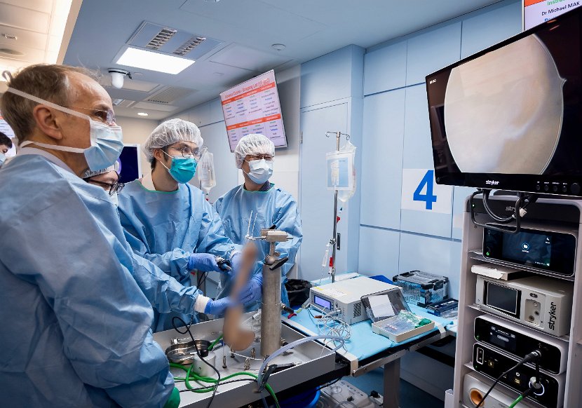 HK Wrist Course 2024 - Workshops  - 76 of 241